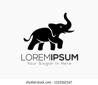 elephant logo, icon, symbol design inspiration with confidence