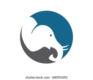 Elephant logo template