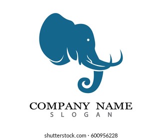 Elephant logo template
