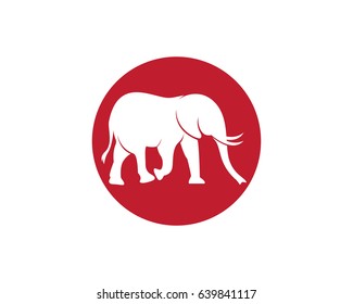 Elephant logo template