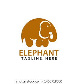 elephant logo template design vector with isolated white background