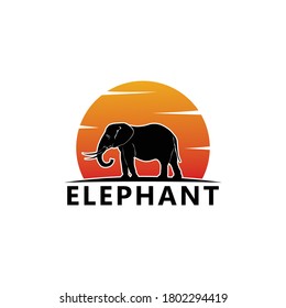 Vector de diseño de plantillas de logotipo para elefantes