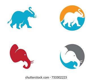 Elephant logo template vector icon illustration design