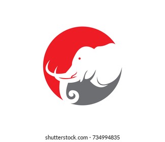 Elephant logo template vector icon illustration design