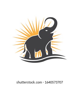 Elephant Logo Template Vector Illustration design