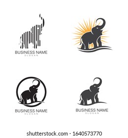Elephant Logo Template Vector Illustration design