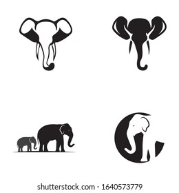 Elephant Logo Template Vector Illustration design