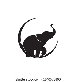 Elephant Logo Template Vector Illustration design