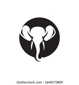 Elephant Logo Template Vector Illustration design