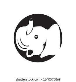 Elephant Logo Template Vector Illustration design