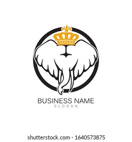 Elephant Logo Template Vector Illustration design