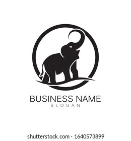 Elephant Logo Template Vector Illustration design
