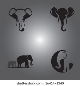 Elephant Logo Template Vector Illustration design