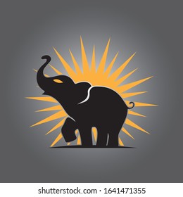 Elephant Logo Template Vector Illustration design