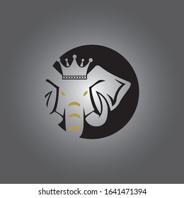 Elephant Logo Template Vector Illustration design