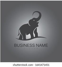 Elephant Logo Template Vector Illustration design
