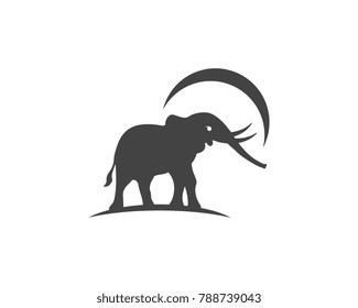 Elephant Logo Template Vector Illustration design