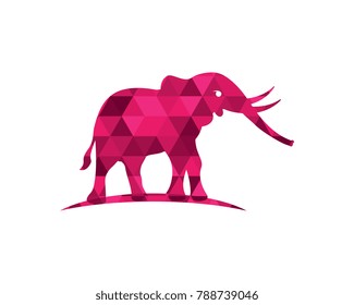 Elephant Logo Template Vector Illustration design