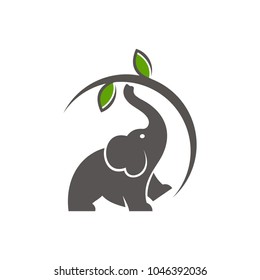 Elephant Logo Templates