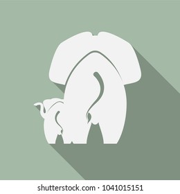 elephant logo , vector 