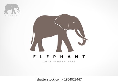 Vector del logo del elefante. Diseño animal.