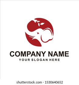elephant logo vector animals design