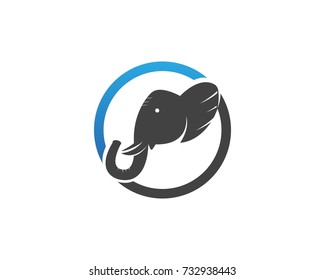 Elephant logo vector design template