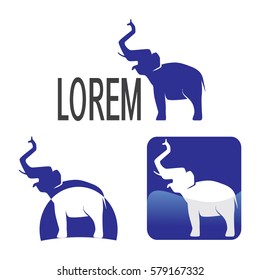 elephant logo, vector illustration