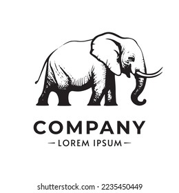 Elephant logo vector illustration. Indian Elephant vector illustration 