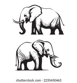 Elephant logo vector illustration. Indian Elephant vector illustration 