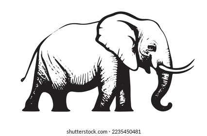Elephant logo vector illustration. Indian Elephant vector illustration 
