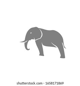 plantilla moderna vectorial del logotipo elefante