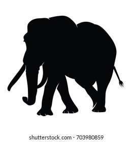 Elephant Logo Vector Silhouette