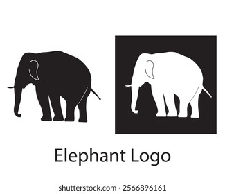 Elephant logo vector, Elephant zoo safari logo design template, Elephant icon Vector illustration EPS 10. Modern elephant logo