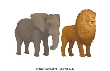 Elephant with Long Trunk and Lion with Mane as African Animal Vector Set