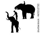 elephant and mahout young boy on white background