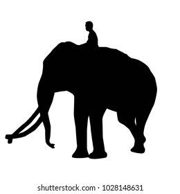   elephant and mahout young boy on white background