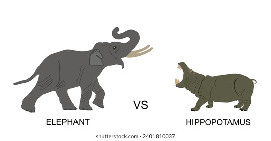 Elefantenmännchen auf Nilpferd, Vektorgrafik einzeln auf weißem Hintergrund. Afrikanisches Tierwarnsystem für Wilderer. Elefantensymbol. Safari-Attraktion. Starke, schwere Gegner-Schlacht auf dem Tränkplatz.