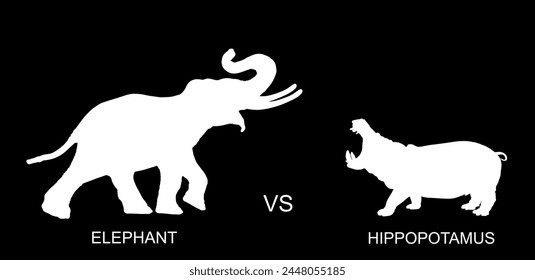 Elephant male against hippo vector silhouette illustration isolated on black. African animal alert of poacher. Elephant symbol. Safari attraction. Strong heavy opponent battle on watering place.