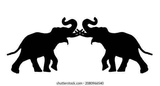 Elephant male battle for female mating vector silhouette illustration isolated on white. African animal, alert of poacher. Elephants fight for the right to mate silhouette. Africa safari attraction.