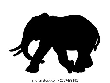 Ilustración de silueta vectorial macho elefante aislada sobre fondo blanco. Animal africano, alerta de cazador furtivo. Símbolo de sombra de forma de elefante. Atracción de Safari. 