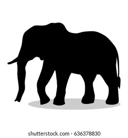 Elephant mammal black silhouette animal