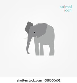 Elephant  mammal isolated on white. 