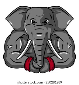 Elephant Mascot
