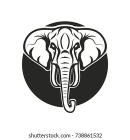 Elephant mascot logo vector design illustration