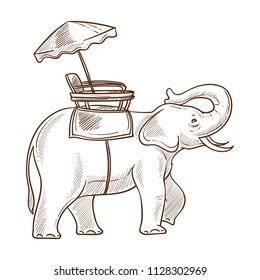 Elephant as mean of transportation sketch vector illustration