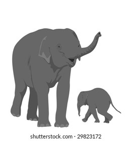 elephant mother  with her offspring
