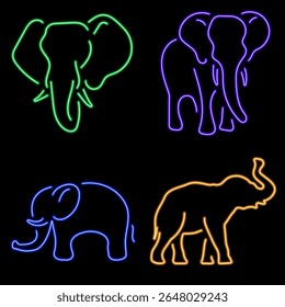 elephant neon icon group, vector illustration on black background.