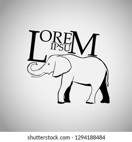 Elephant object. Vector illustration