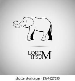 Elephant object. Vector illustration
